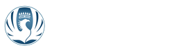 雷鸟